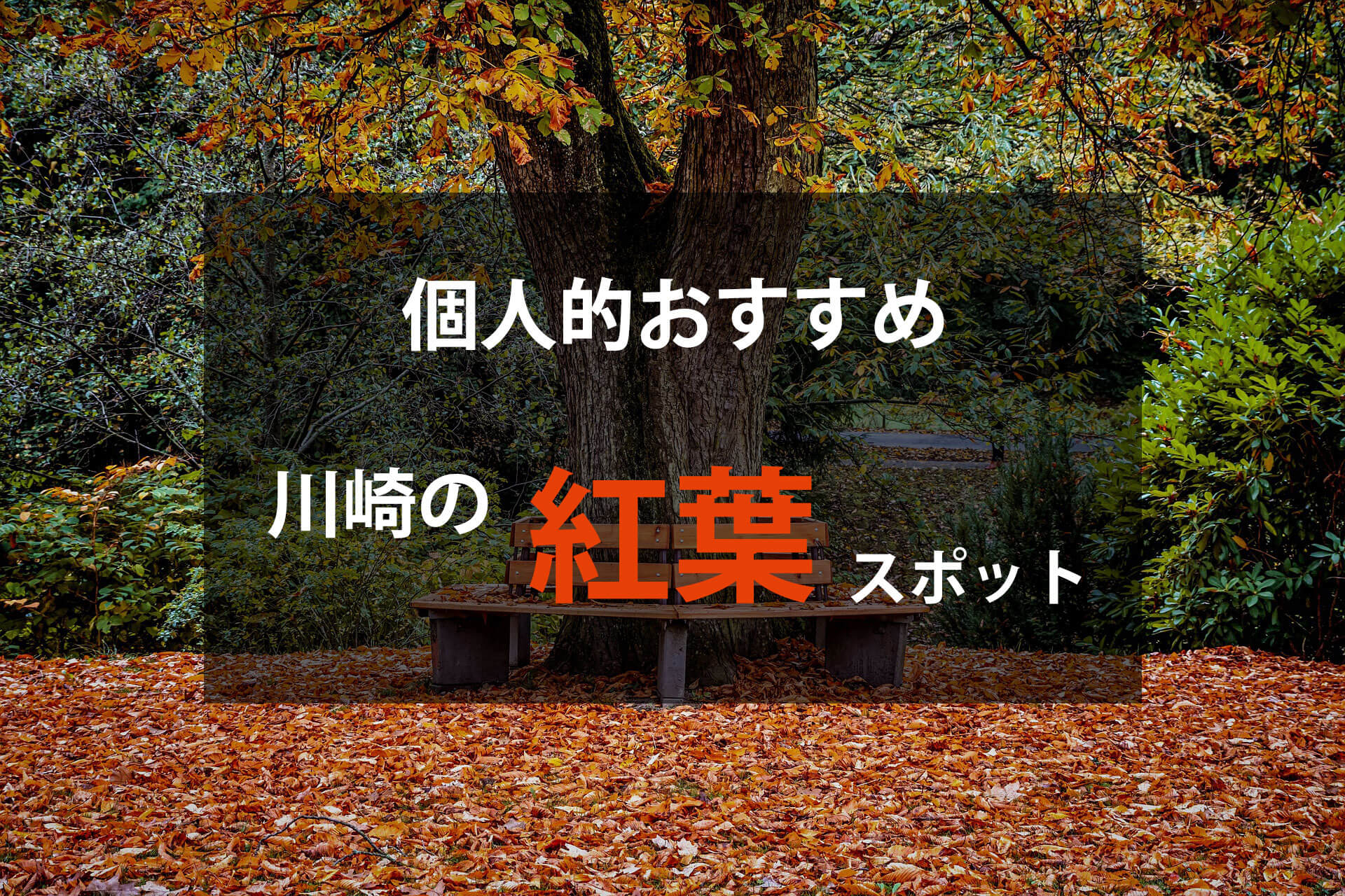 川崎のおすすめ紅葉情報