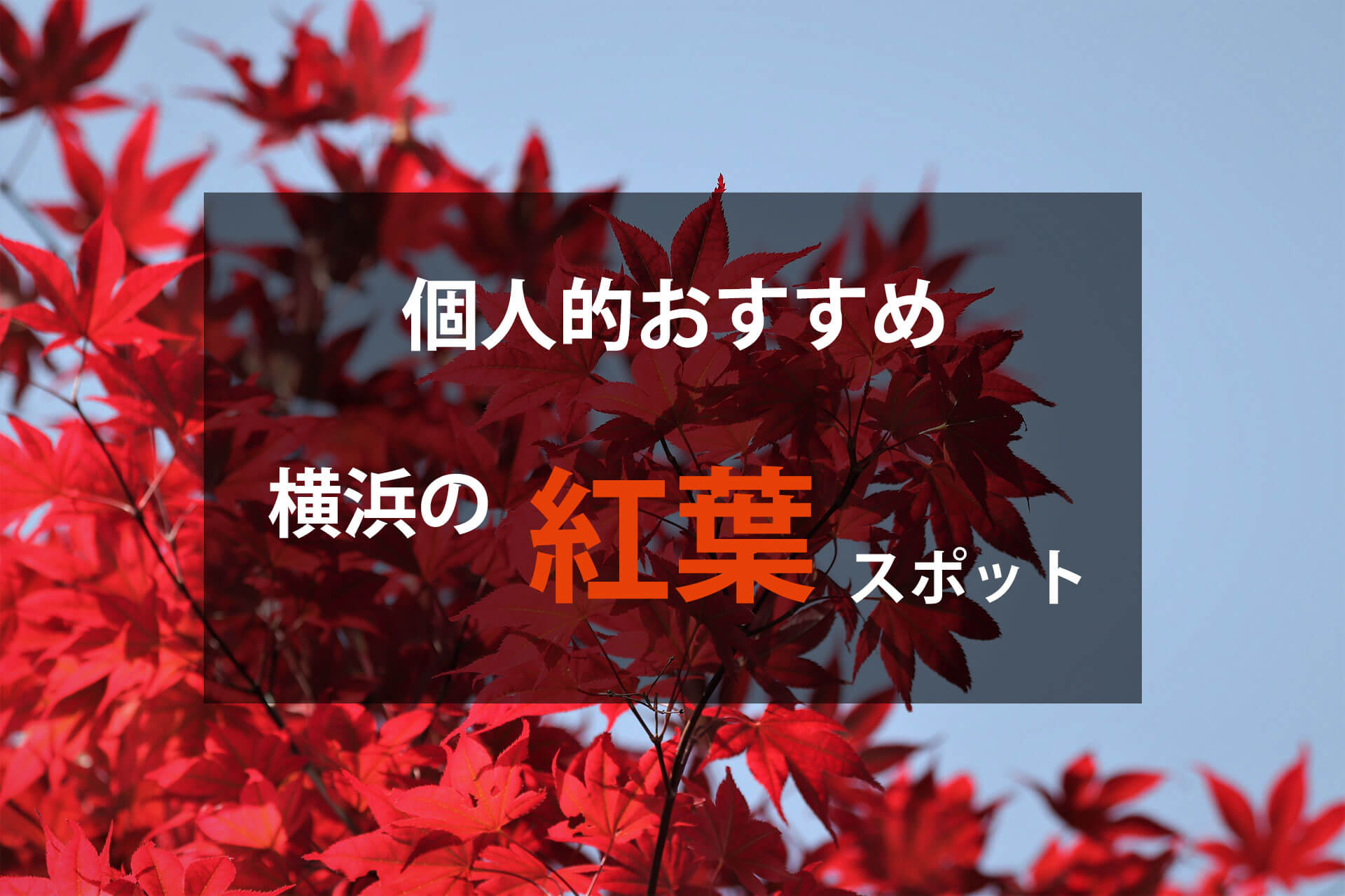 横浜のおすすめ紅葉情報