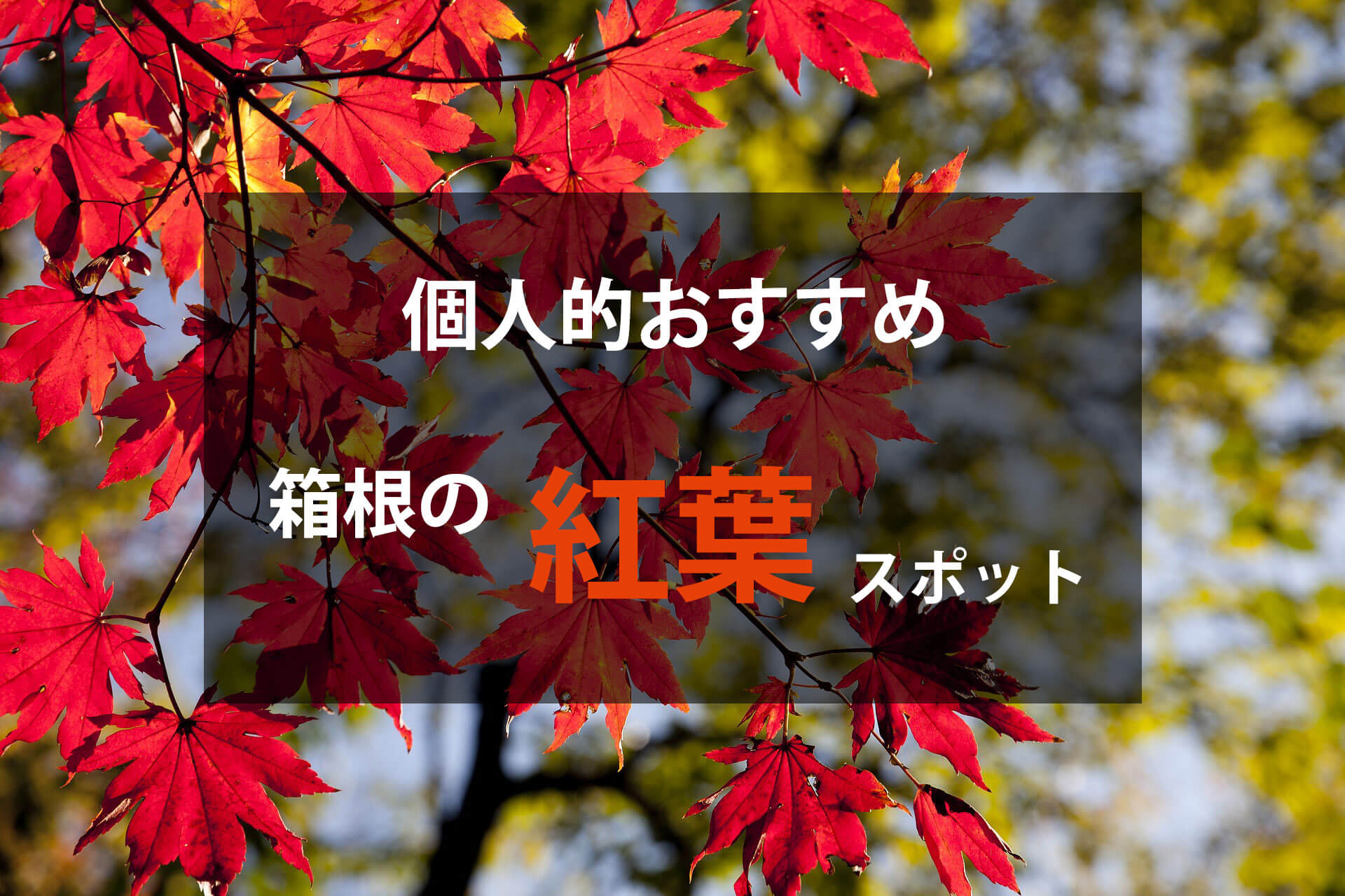 箱根の紅葉名所情報【個人的おすすめ】